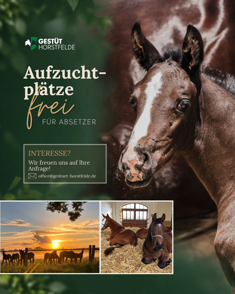 Aufzuchtplätze frei
