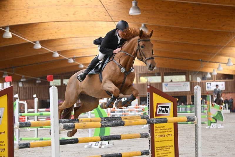 schroeder_911_mirjam_tremsdorf 2025_772311af
