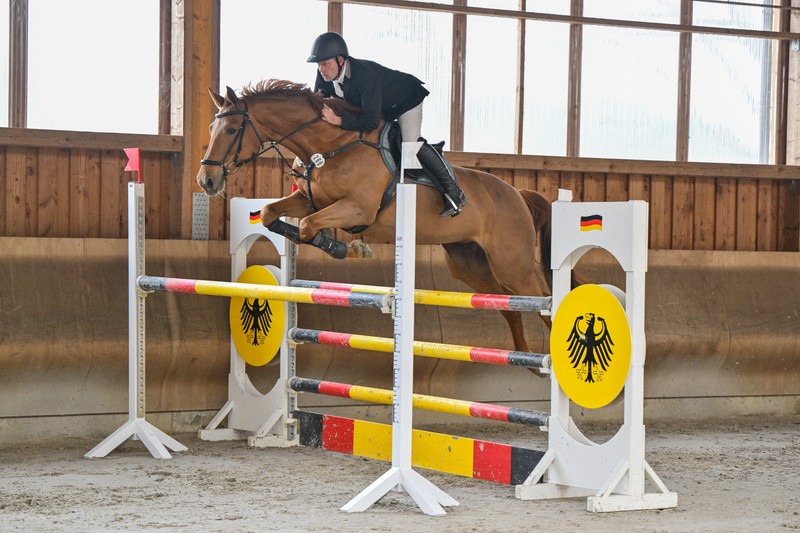schroeder_911_mirjam_tremsdorf 2025_b19b84c1