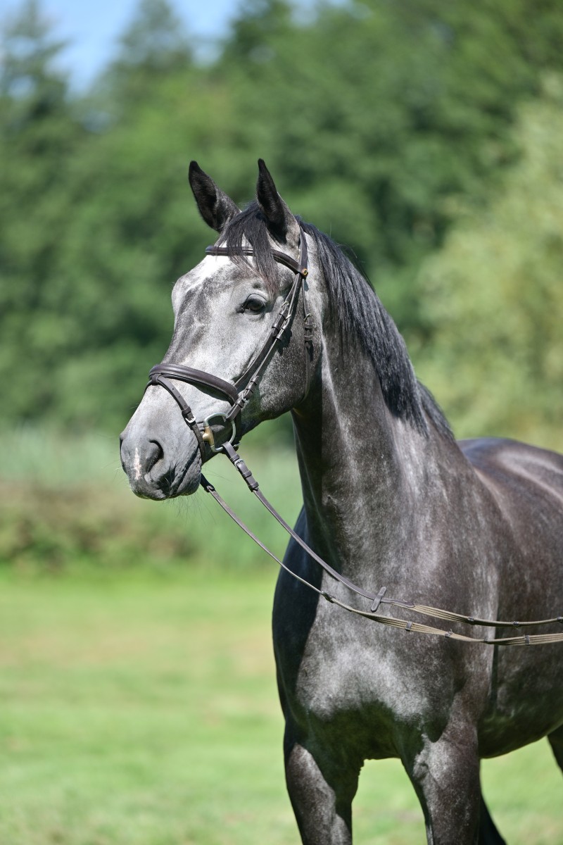 Constantin_946_4240_